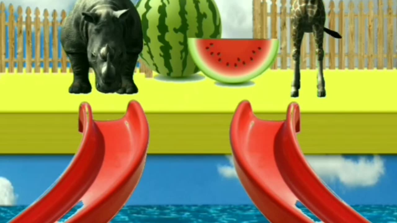 Animal funny videos #viral#video#funny