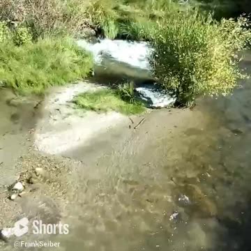 Brush Creek, Rawlins Creek BLM land Idaho