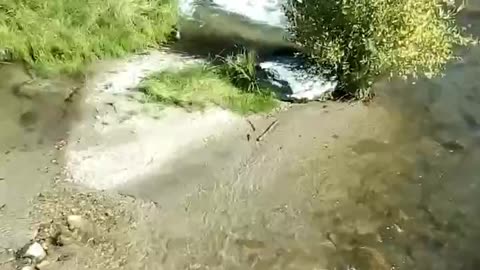 Brush Creek, Rawlins Creek BLM land Idaho