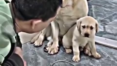 Mother love