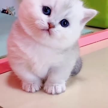 What to do?Suddenly a stranger to me😂😂