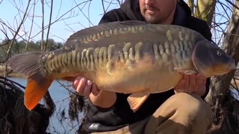 Chris Catching a Scaly Mirror 🤩