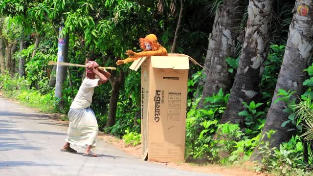 Fake Tiger In Box Prank Try To Not Laugh Epic Public Reaction