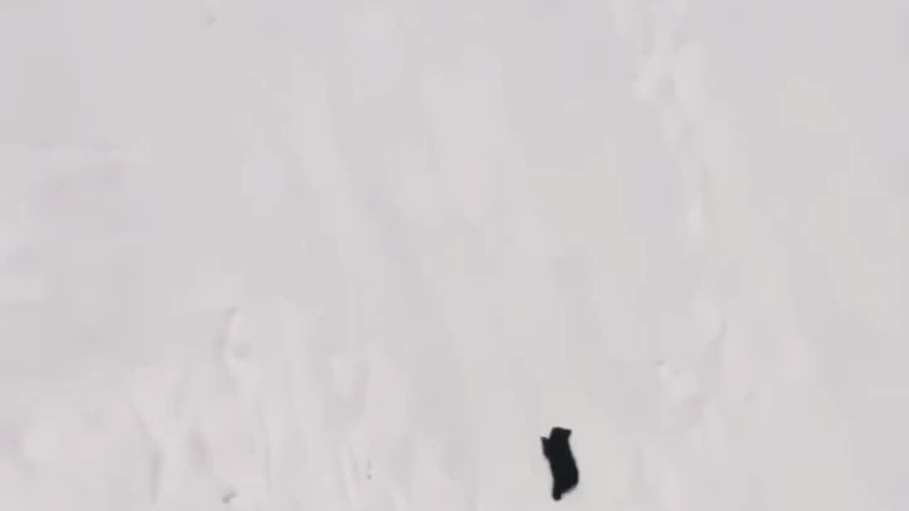 Believe in yourself #motivation #inspiration