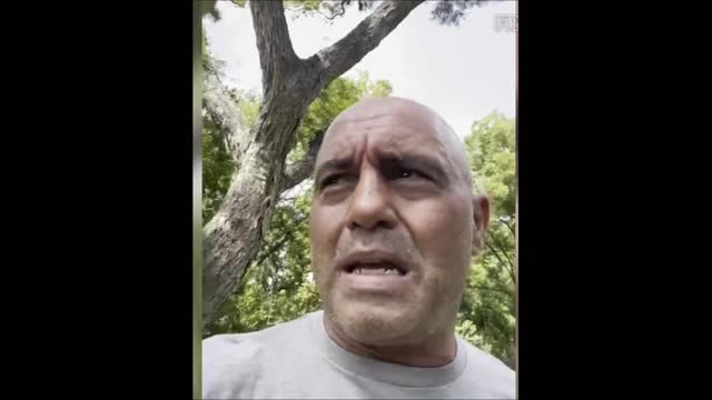 The Joe Rogan Treatment