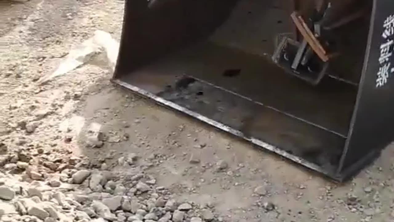 CRC vídeos curiosos