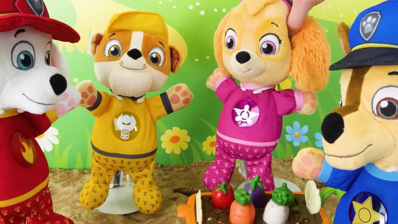 Video de aprendizaje para niños - ¡Picnic de la Paw Patrol!