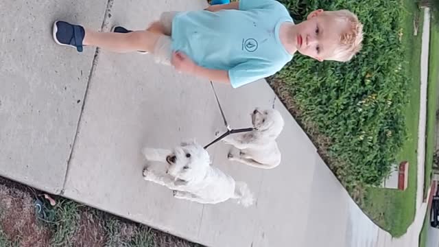 A grand boy and his dogs.