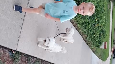 A grand boy and his dogs.