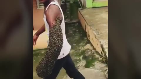 Guy Walks With Swarm of Bees On His Arm