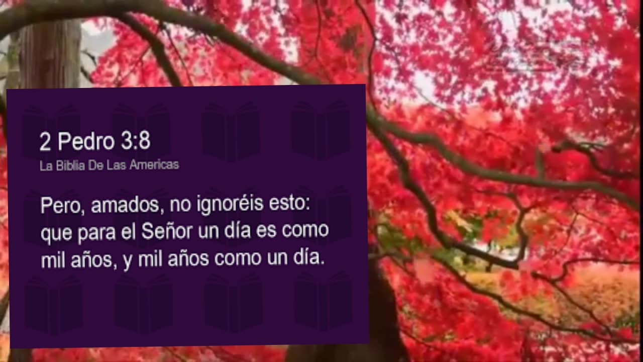 EL SEÑOR CUMPLE SUS PROMESAS. _Devocional