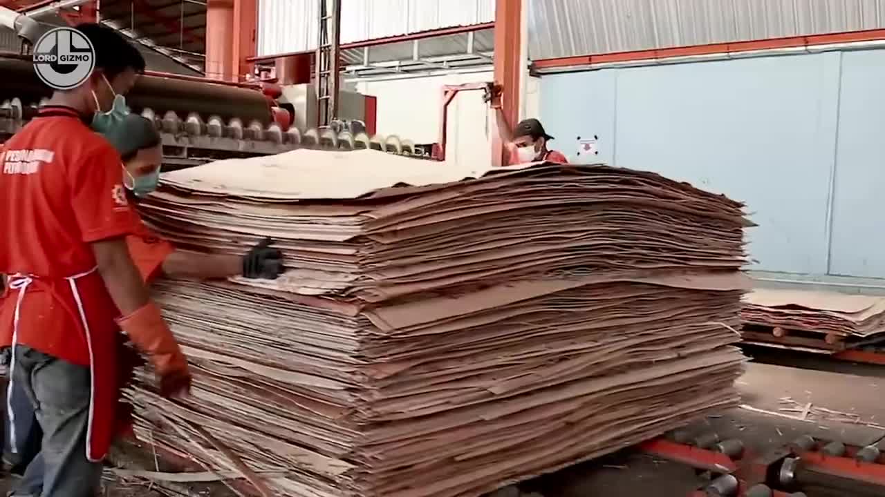 Crazy Wood Processing Machines | Biggest Wood Cutting Factory | Sawmills