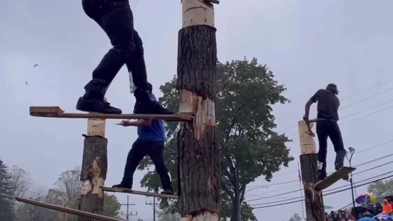 Competition of woodcutters .. Who will win ?