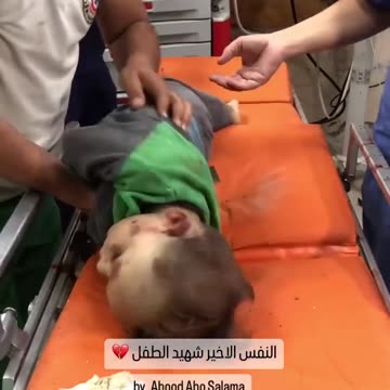 Gaza 9 novembre 2023