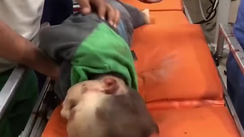 Gaza 9 novembre 2023