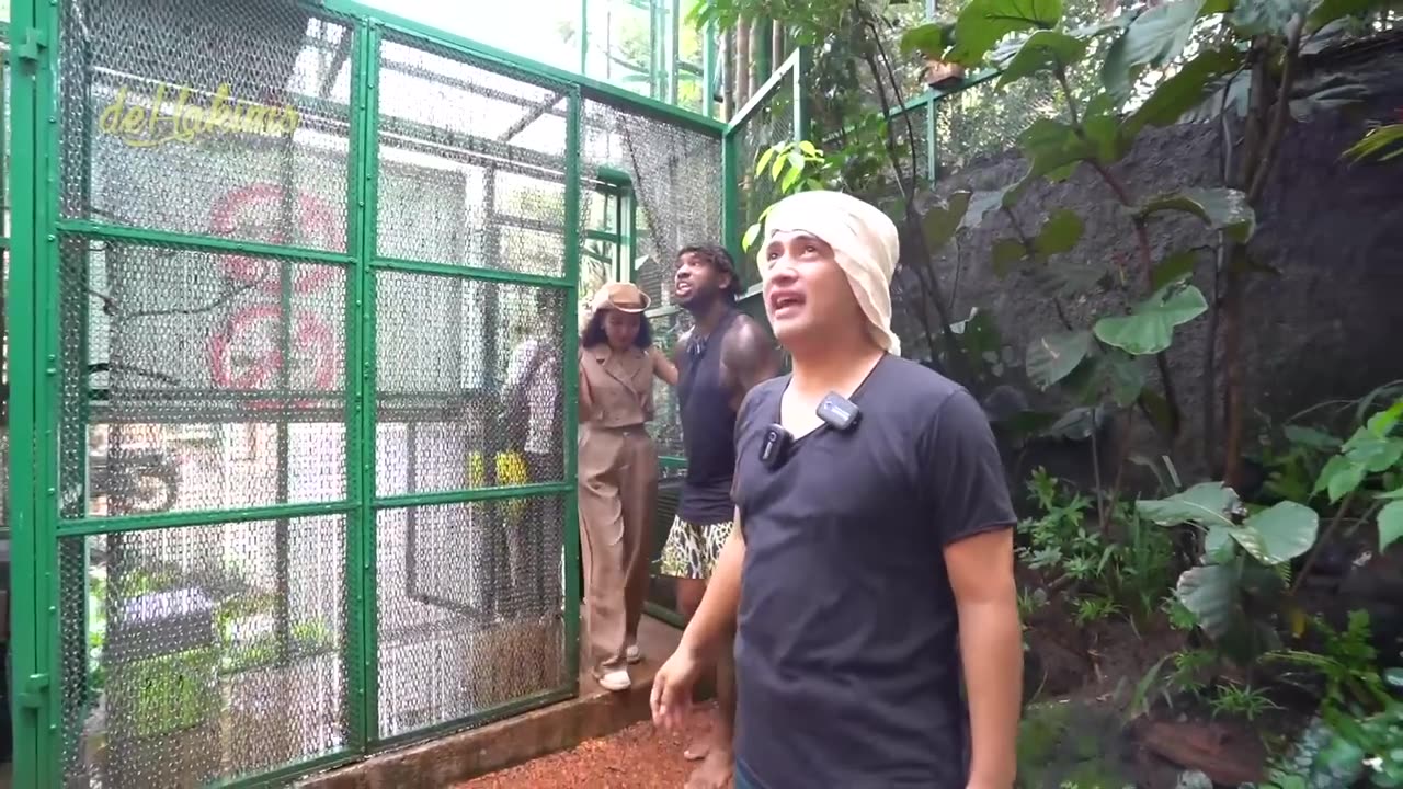 Aviary In indonesia must watch