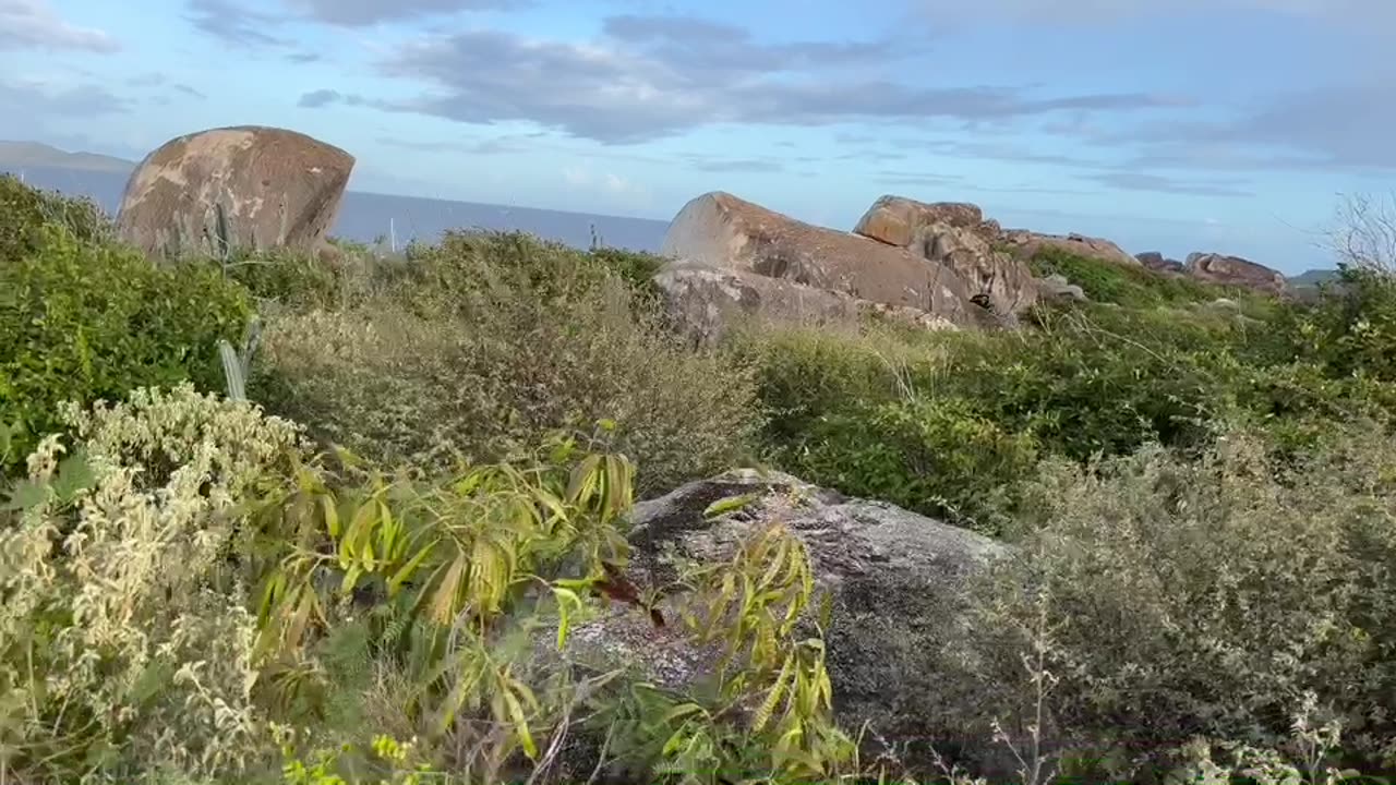 Virgin Gorda & The Baths