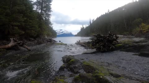 Survival and Wilderness Hiking