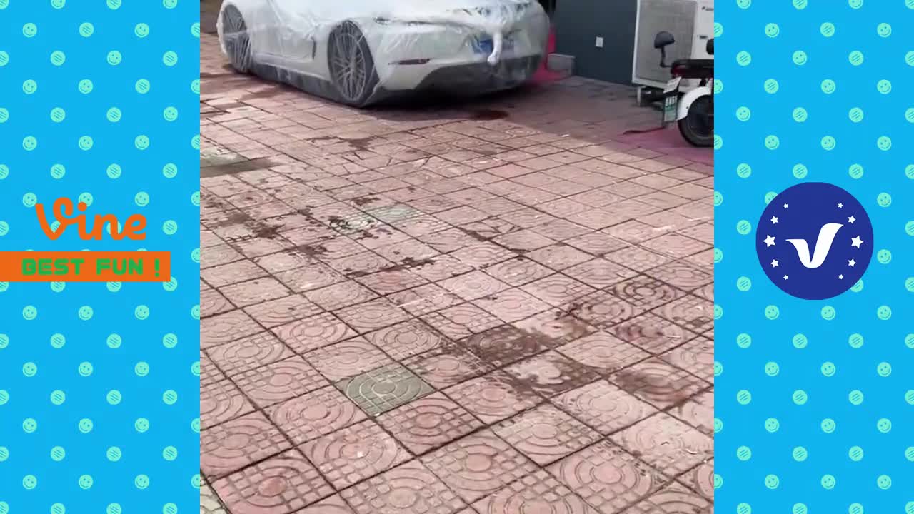 New Funny Videos 2022