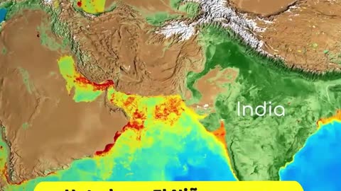 El Nino is creating warm climates and extreme weather patterns