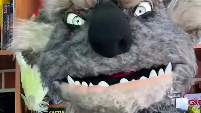 Wise words from a drop bear….