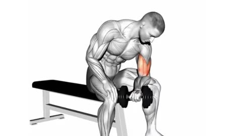 The 4 best biceps exercises