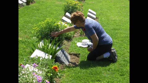 The Center Of My Heart