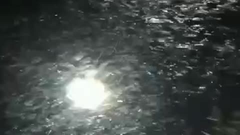 BEBAS - mau pakan PELET mau pakan EMON REBUS❗ Budidaya di kolam tanah LELE cepat besar