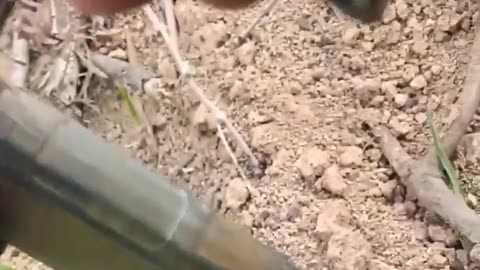 Exclusive footage of the battle in the Bakhmut direction