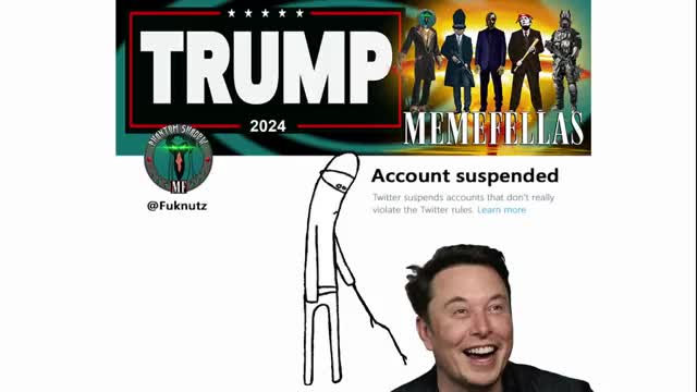 @Lauren3veMemes FREE THE MEMERS @elonmusk