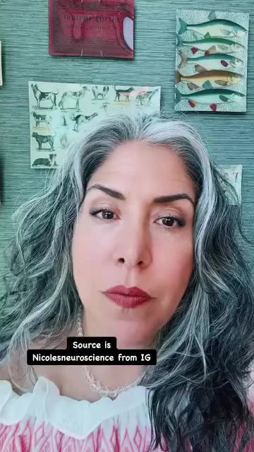 Six ways to regulate yourself using neuro-psychology