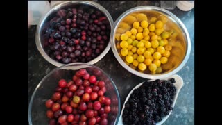 Foraging on the coast