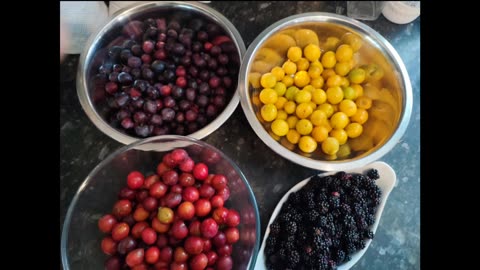 Foraging on the coast