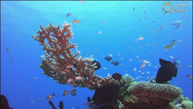 Take The Stress Out Of SEA TRAVEL