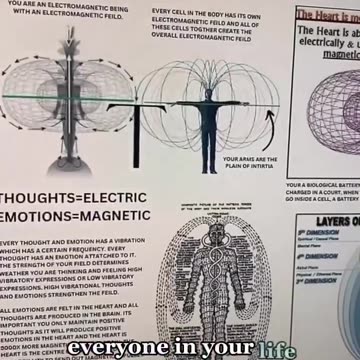 Universal Law for a Better Life