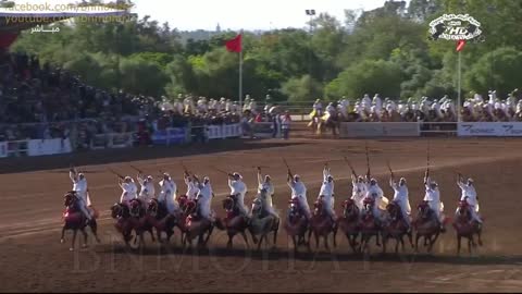 The best moments at the Horse Festival in Morocco