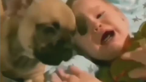 Dogs also learned to imitate children by living with humans. 😍🥰🤩🤩🤩🥰