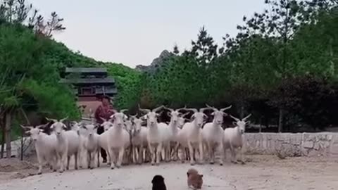 Funny fight..