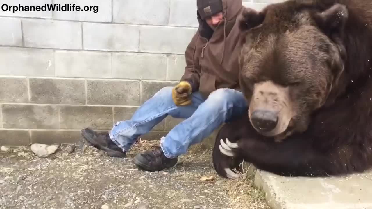 When your bear had a hard day and needs some extra love....