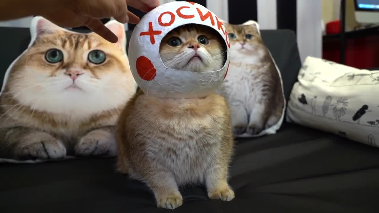 Hosico astronaut