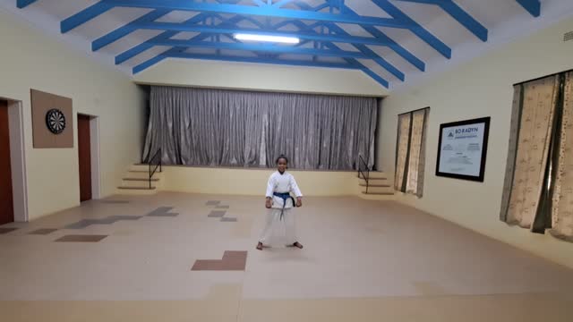 A2 - Caithlin Theunissen - Blue - Pinan Nidan
