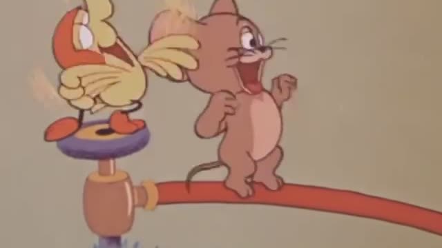 Tom & Jerry Cartonn