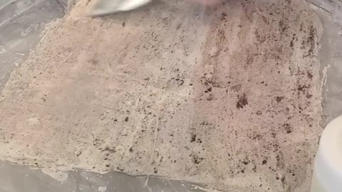 Yummy!!Dellor's cookies and cream Ice Cream.
