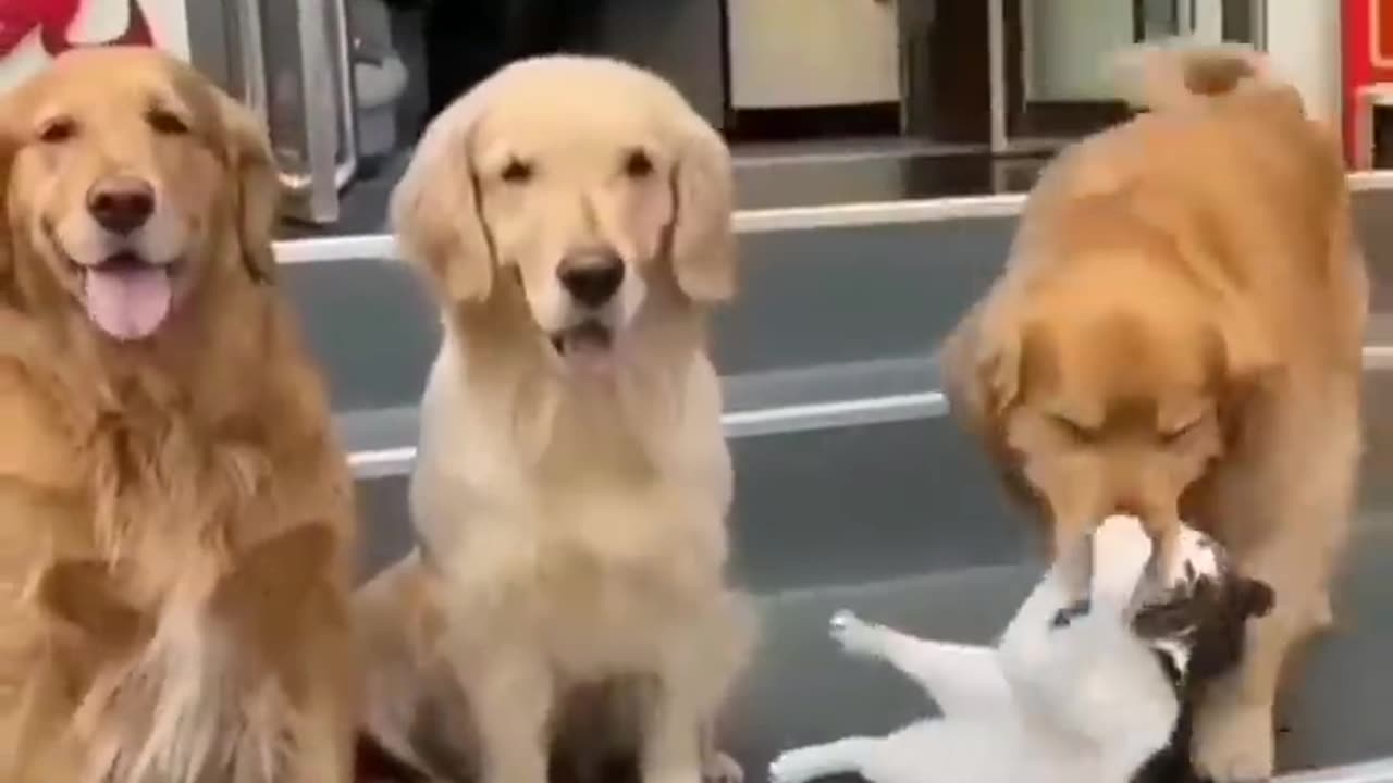 Must watch