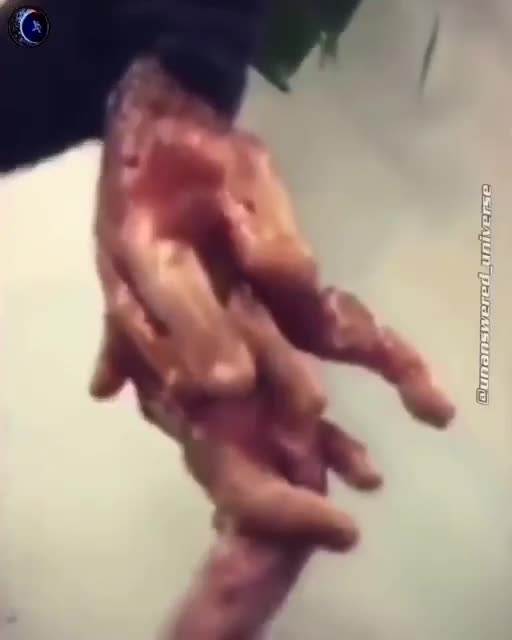 You still think these are fake cgi????