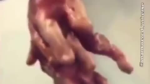 You still think these are fake cgi????