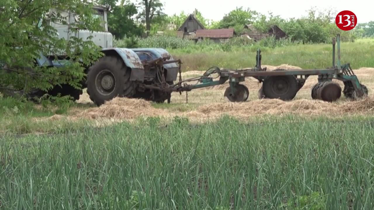 Ukrainian pensioner uses metal detector to sweep her fields for mines