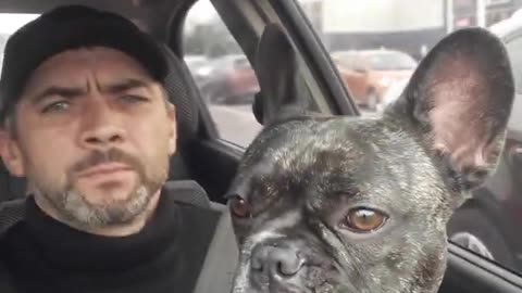 me and my beloved dog French bulldog Alma