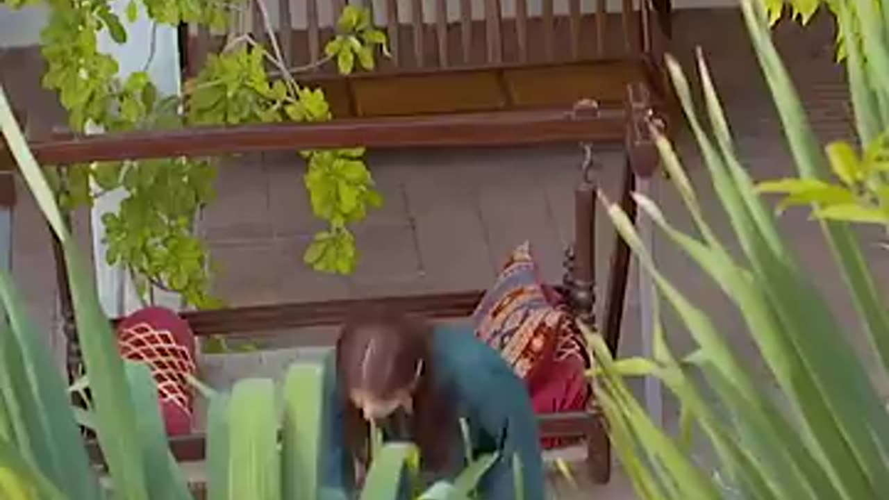 Pakistani drama