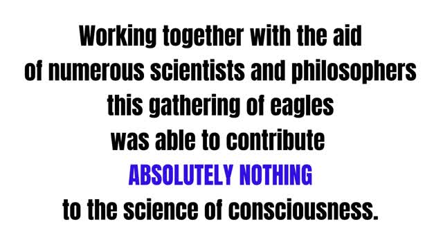 Why Has Consciousness Been Such A Mystery?